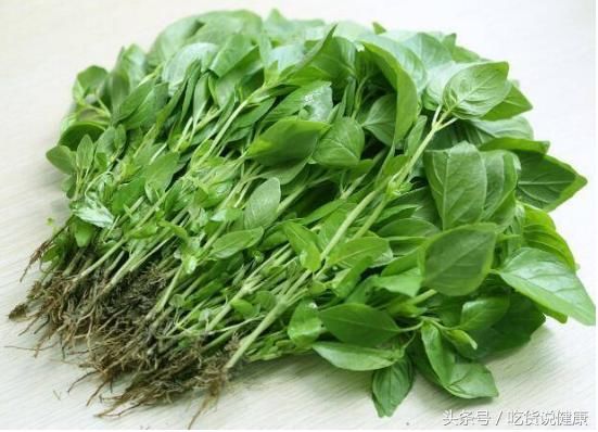 皮肤疼痒不用愁,神奇中药帮你忙,治疗湿疹很