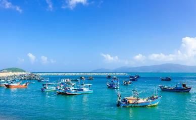 法国网友:中国人生活水平和越南差不多?看看越