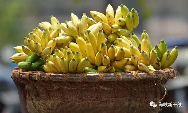 绿营民调唱衰 蔡英文施政内外交困、四大皆空