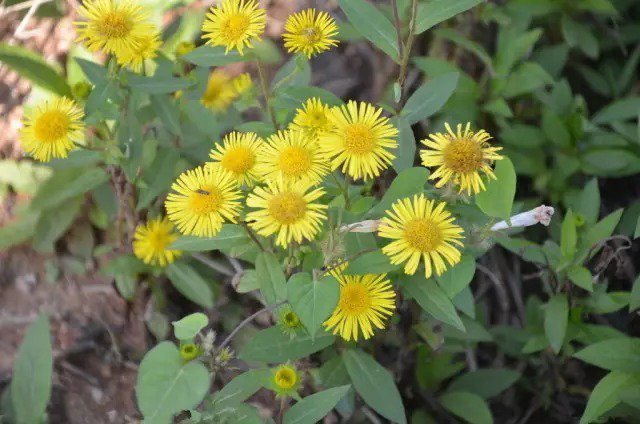 为了TA,你都该来张家界看看。