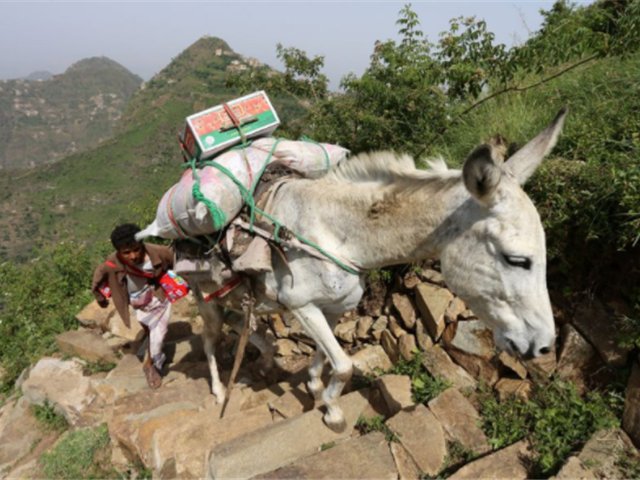 这个位于阿拉伯半岛的国家,地下却没有石油!网