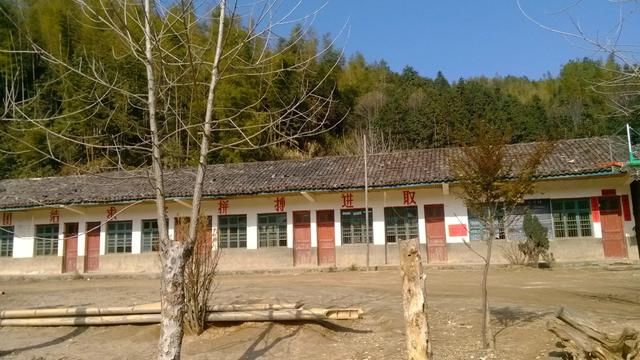 乡村女教师考上公务员,校长不放人:未提前申请