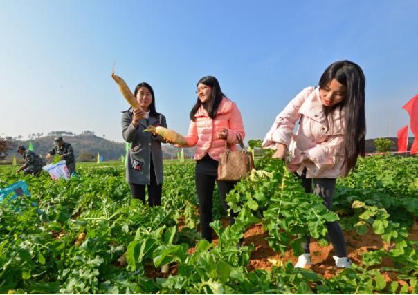 韶关始兴马市镇举行旅游+扶贫活动