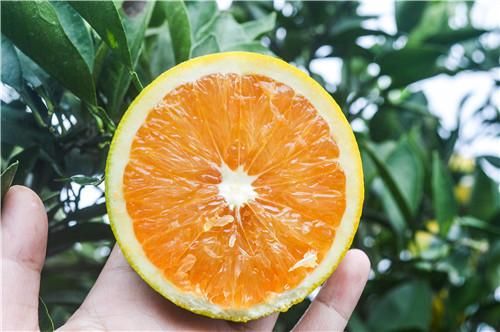 吃脐橙的好处吃脐橙是降火还是上火