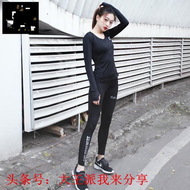 分享一个高手的双色球统计分析、测算数据库