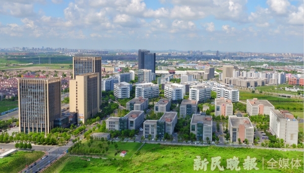 图说:临港松江科技城板块航拍.新民晚报记者 徐程 摄