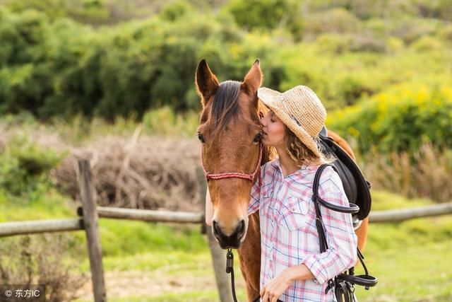 生肖马,1966年出生是什么命?