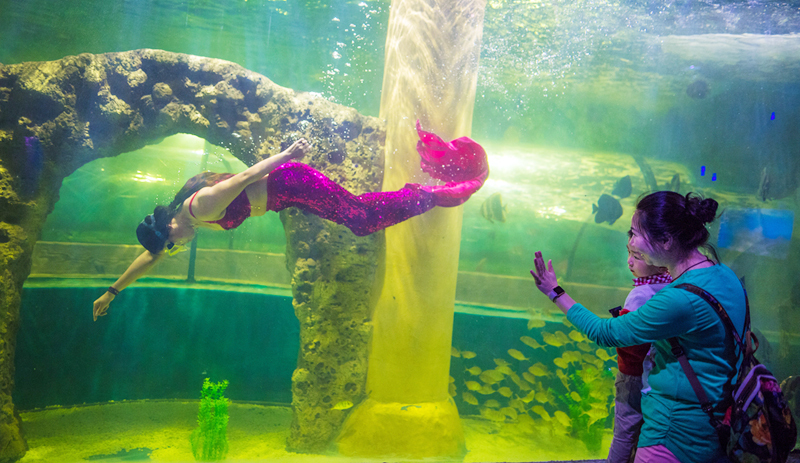 襄阳首家室内海洋馆带您寻梦海底世界