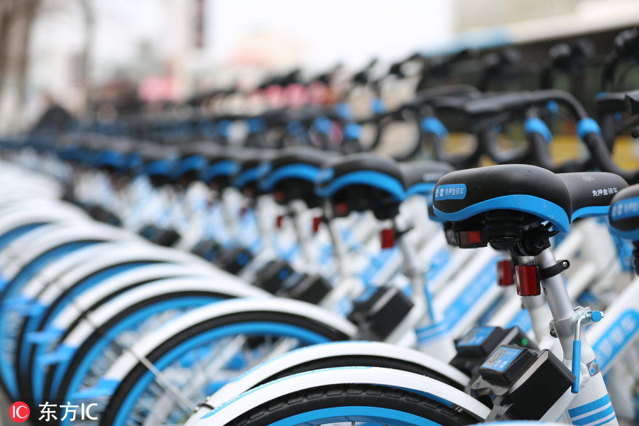哈罗共享单车大批量投入沈阳 芝麻信用超六百