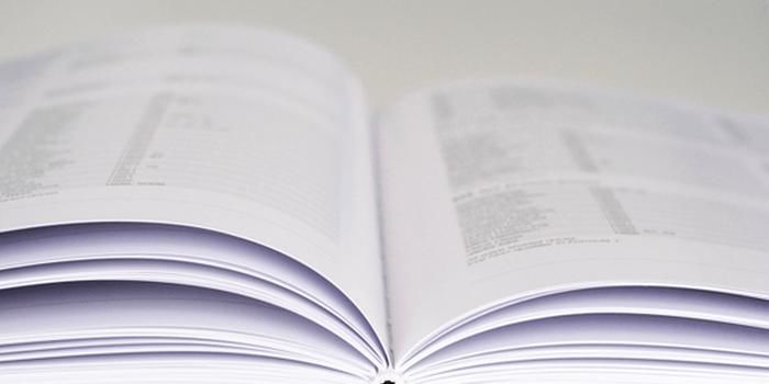 湖北省政府新设三个领导小组 两位副省长分别