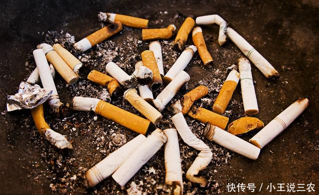 家里养花有小飞虫,简单几招,小飞虫全没了!