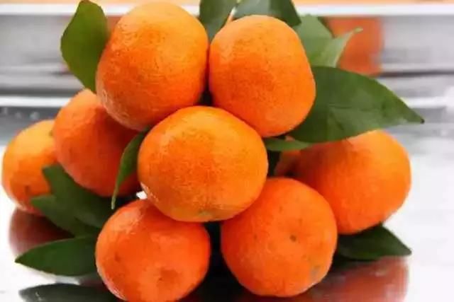 沃柑OR沙糖橘,谁才是未来柑橘市场主力