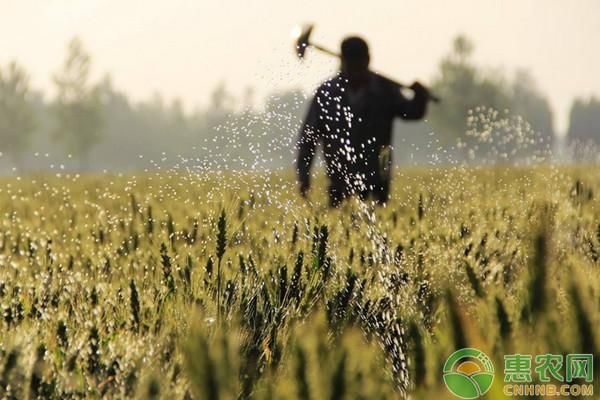 农村贫困户怎么申请?申请标准有哪些?