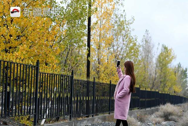 看乌鲁木齐如何完美诠释“一叶知秋”