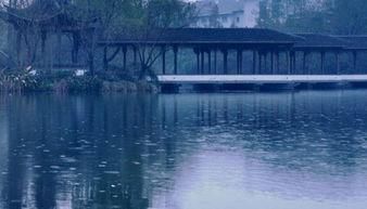 感悟\/课堂是舞台,老师要做好总导演!