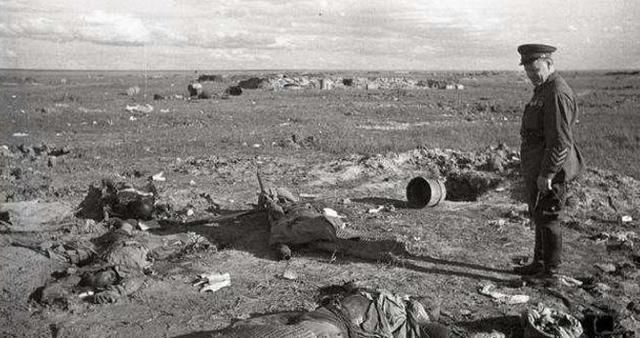 战争年代,战场上战亡的尸体谁来负责收拾,看完你就知道了!