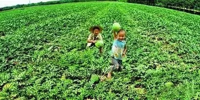 《农民专业合作社法》首次大修:将扶持5类人,