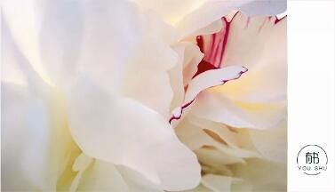 海子为什么卧轨自杀?