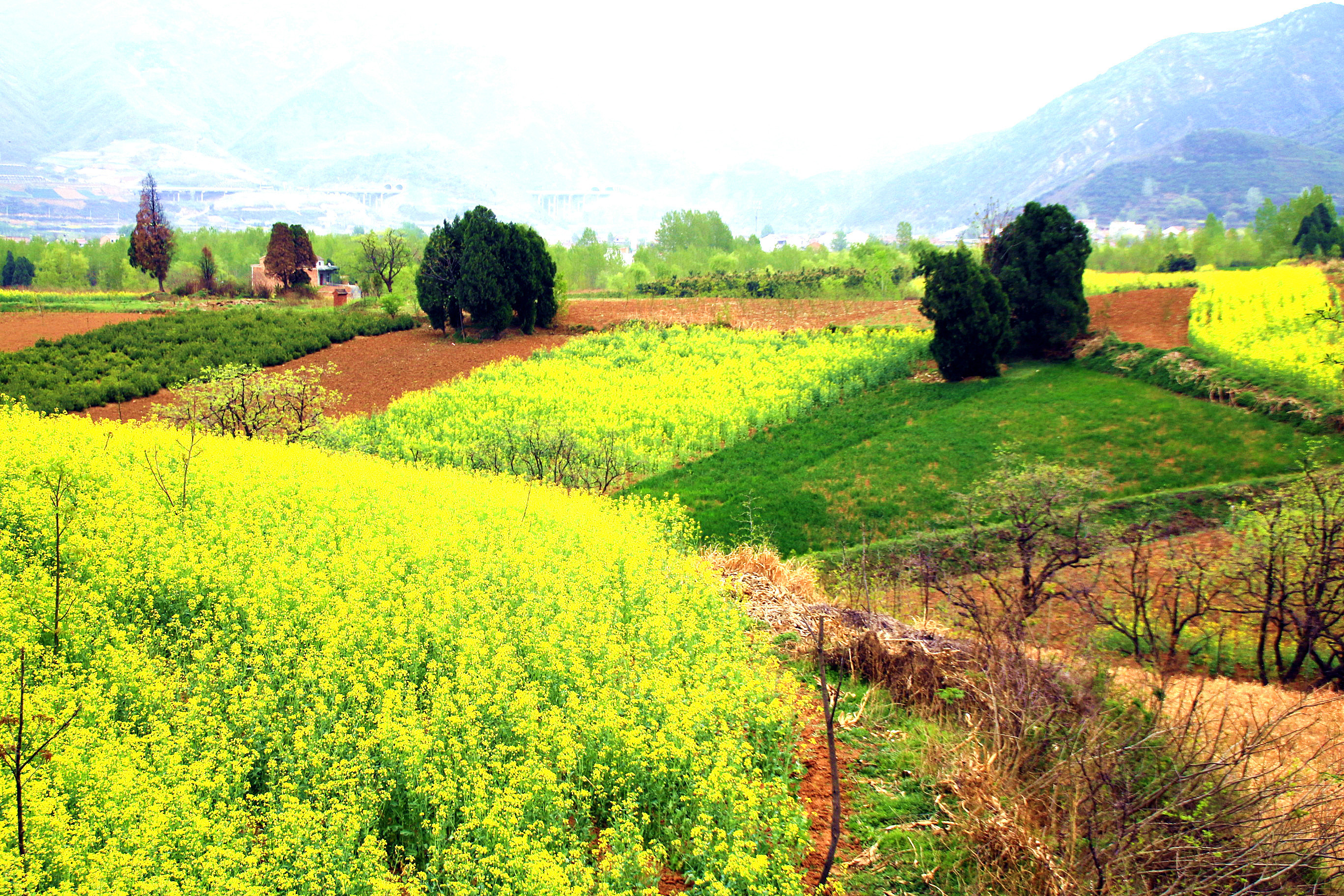 西安蓝田国际旅游文化节启动多名网络达人被聘