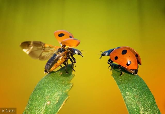 七星彩票周易预测研讨,易经研究彩票的三种方