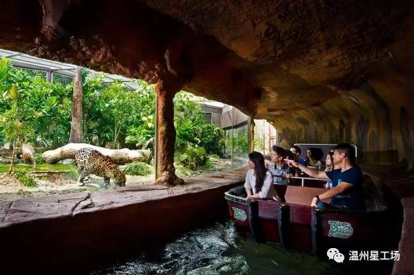 星工场星发现︱温州直飞新加坡!完美童模冠军