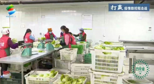 四季绿农业蔬菜送一线 心系疫情稳定市场(图4) 四季绿农业蔬菜送一线 心系疫情稳定市场(图4)