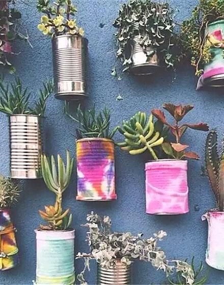 废物利用做盆栽,迷你花园造出来丨10张diy绿色盆栽图