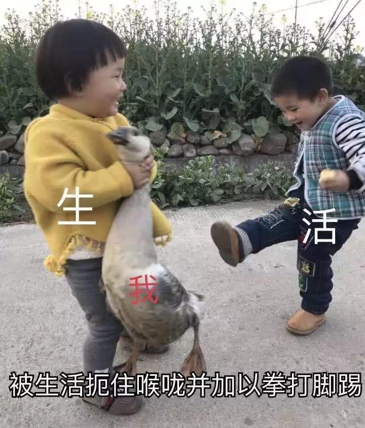 表情包来袭!兄dei你接住!