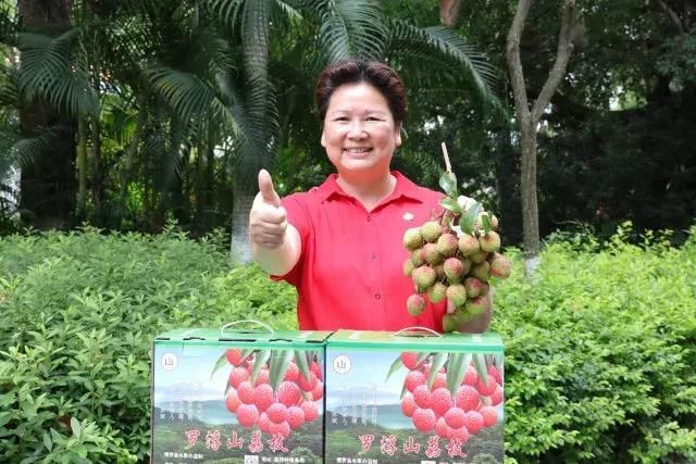 罗浮山荔枝:苏东坡最钟情的美味丨来,带你探探