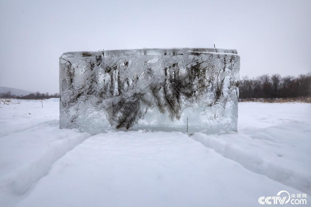 2019年12月1日，黑龙江省漠河市，冰雕建设用冰，码放在大林河边，不同于松花江江冰，这里的冰呈现明显的蓝色，蓝如海冰。