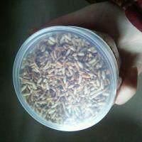 懒妹子减肥每天早上喝一杯,体重定格95斤:排净