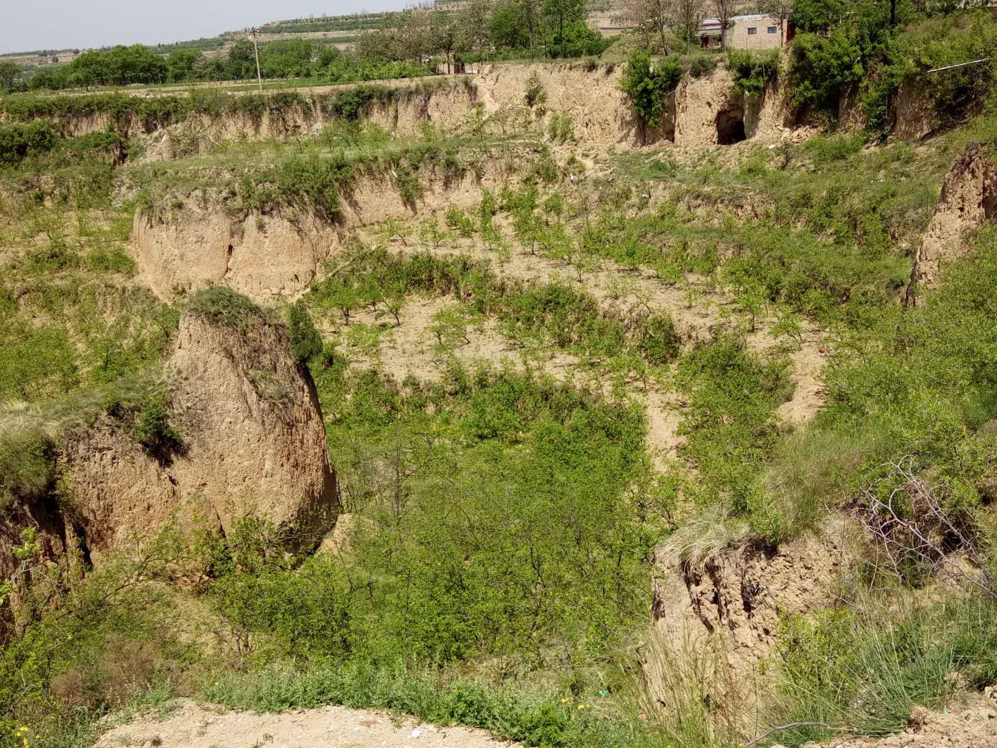 重耳枣的传统吃法,告诉孕妇红枣怎么吃最好?