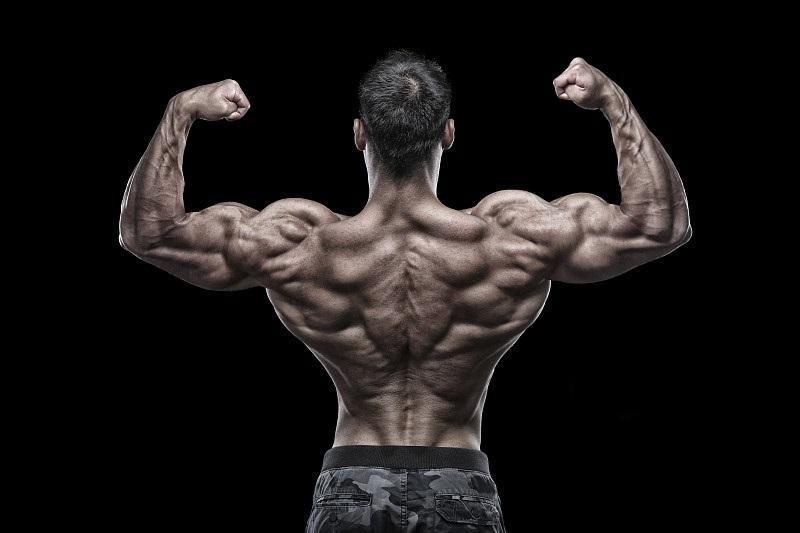 想要练好背阔肌?这必读的训练秘籍,帮你练出