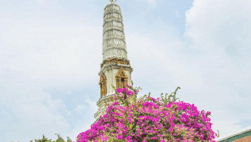 在泰国旅游,一千人民币大概可以用多久?看完做