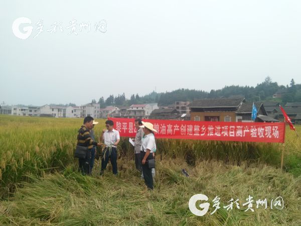 【中国梦·践行者】熊玉唐:为稻田增收致富开新路 【中国梦·践行者】熊玉唐:为稻田增收致富开新路