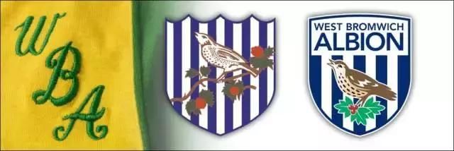 海鸥老鹰天鹅,英格兰俱乐部为什么都喜欢用鸟