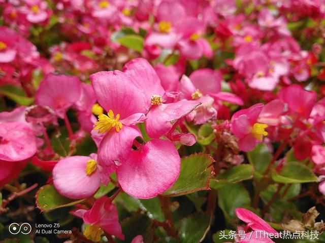 联想Z5评测:国民旗舰的自我修养