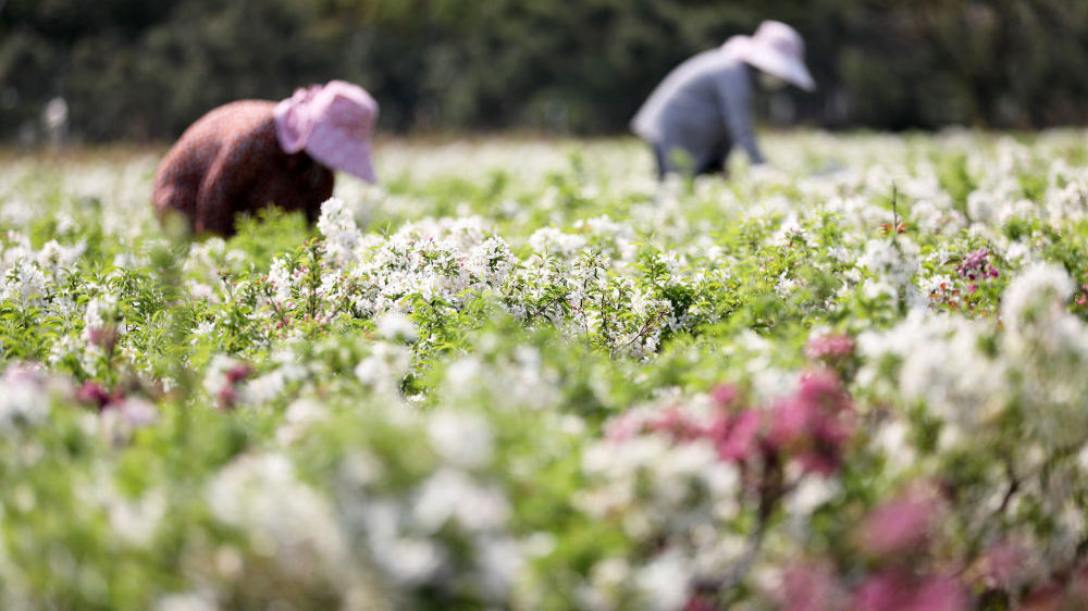 看!这些忙碌的瞬间,就是春天最美的样子! 看!这些忙碌的瞬间,就是春天最美的样子!