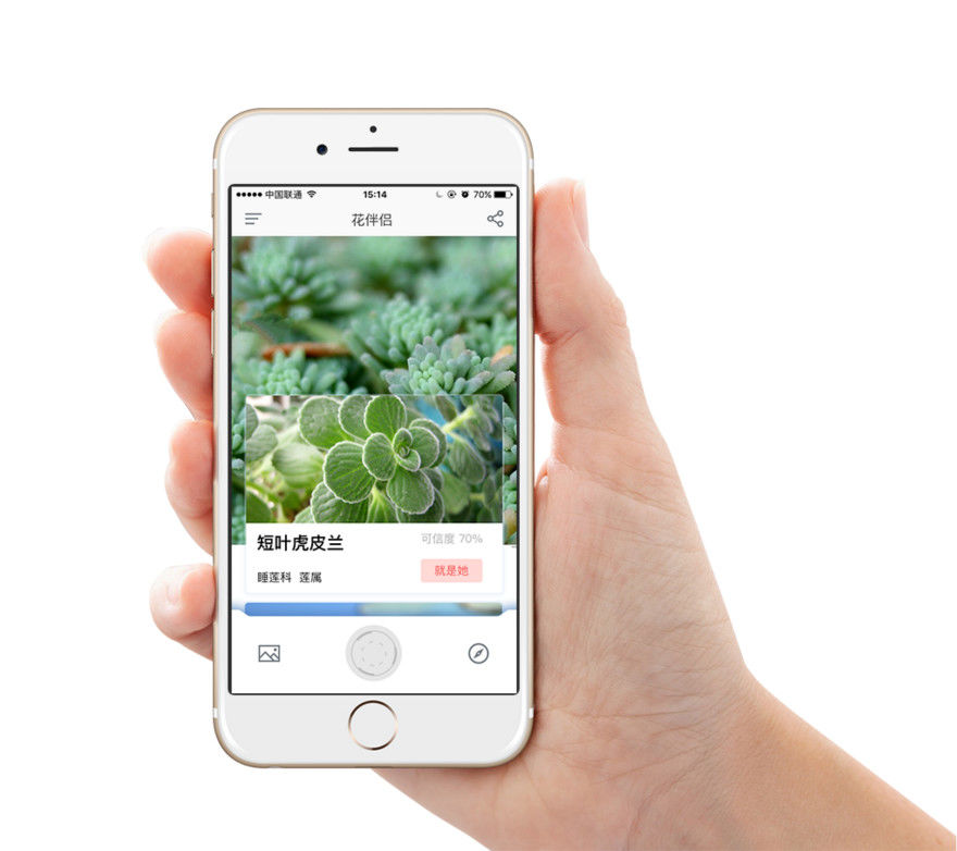 花伴侶:人工智能植物識別app,可識別11000種植物,識別精度超過80%