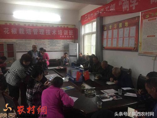 华阴三义村:党支部+X+贫困户七种模式促脱贫