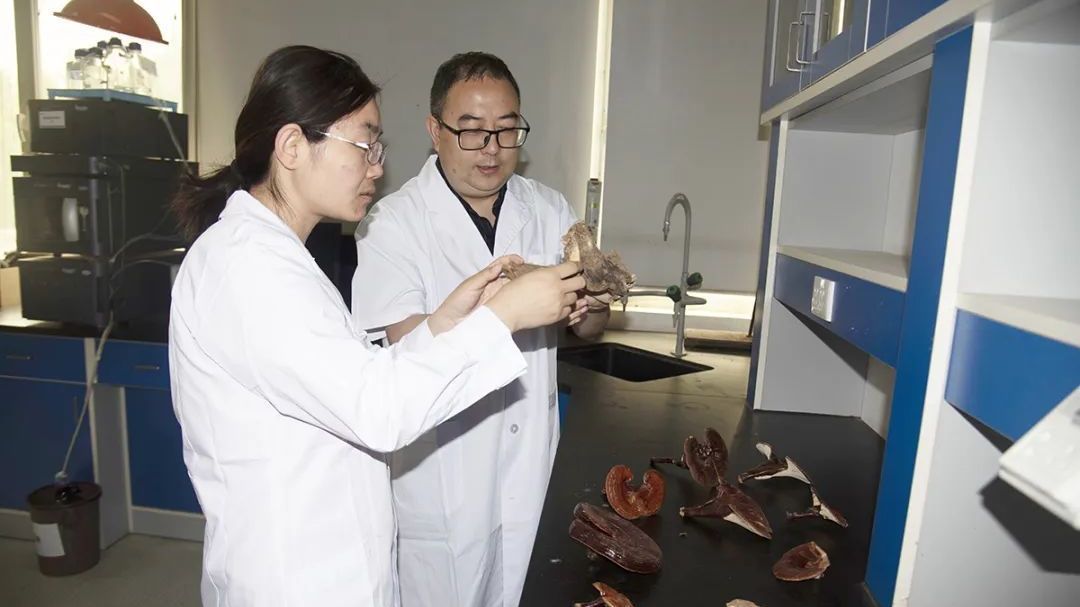 顺义科技工作者风采|张志强:致力研究中药配方颗粒的全产业链 顺义科技工作者风采|张志强:致力研究中药配方颗粒的全产业链