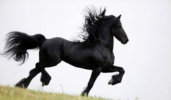 近期强势概念,文化传媒龙头异军突起!