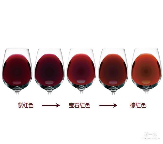 辨色识酒,葡萄酒颜色中的秘密--每天懂一点葡萄酒