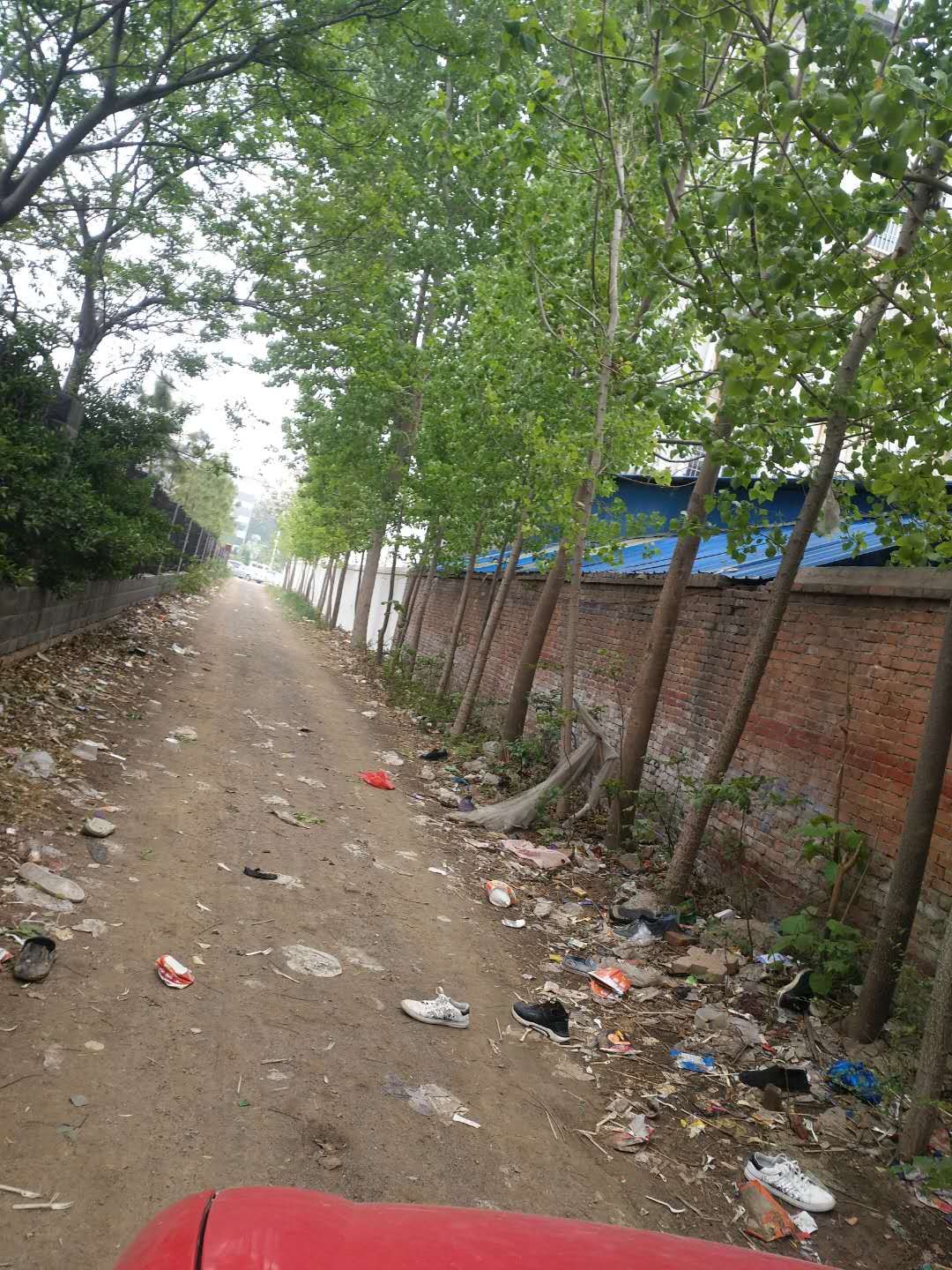 主题: 通许县中等职业学校(三职高)学生往墙外