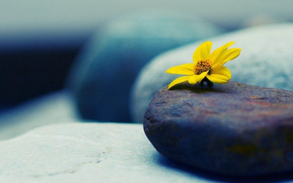 男人最讨厌拿分手当试探的星座 双鱼女只排第