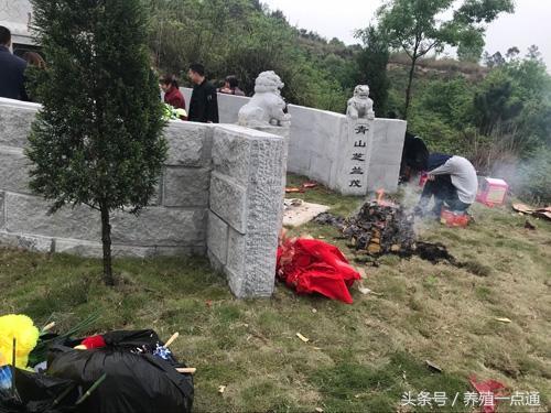 农村创业点子,新兴行业小本生意,十大暴利行业