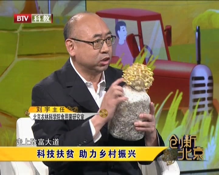 《创新北京》20201017科技扶贫 助力乡村振兴 《创新北京》20201017科技扶贫 助力乡村振兴