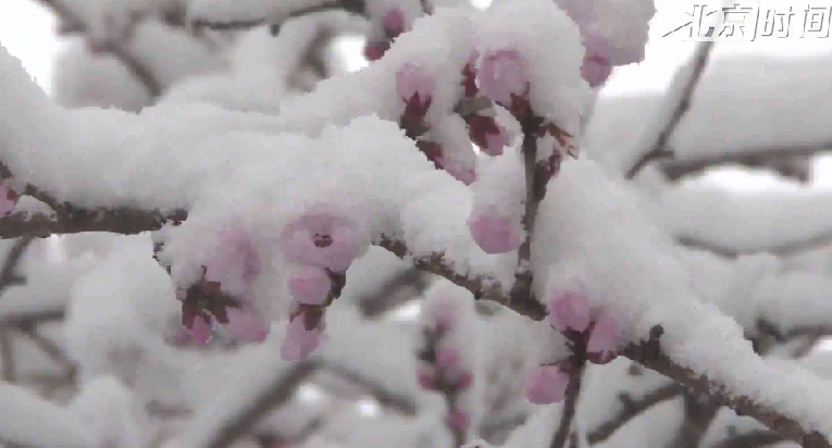 春分过后延庆首现降雪 航拍雪中美景