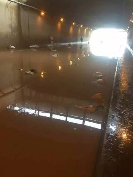 “他们两口子是前后脚走的,因为张春蕊没有雨衣,怕雨之后下得更大,所以就先带着儿子赶忙先走了,她老公就过了不到20分钟吧,也往回走。”据张春蕊的表姐讲述,这次偶然的聚会,成了一次不归之旅。“穿过涵洞,我们就到家了。”20日凌晨0点半左右,老陈一边小心翼翼地骑着电动车,一边嘱咐女儿抱紧自己。但那条回家必经之路已经被大雨泡成了“海”。他以为一路开过去,无非是裤腿被打湿,直到看到已面目全非的涵洞。