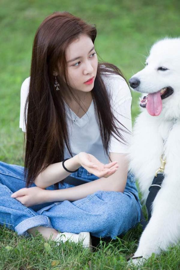 《神犬小七第三季》曝预告 宋妍霏演绎率性队长